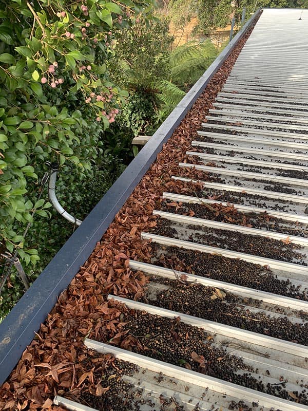 procoll gutter clean