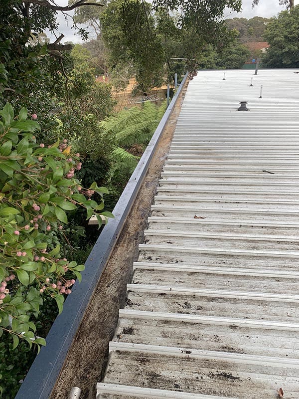 procoll gutter clean