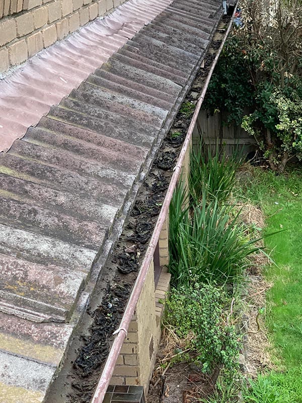 procoll gutter clean