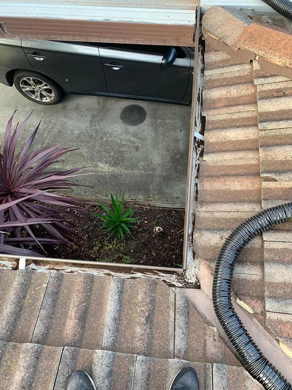 procoll gutter clean