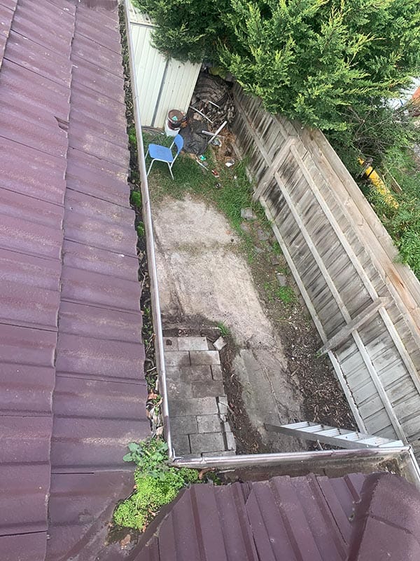 procoll gutter clean