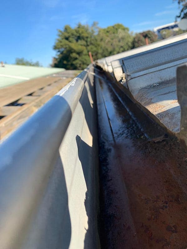 procoll gutter clean