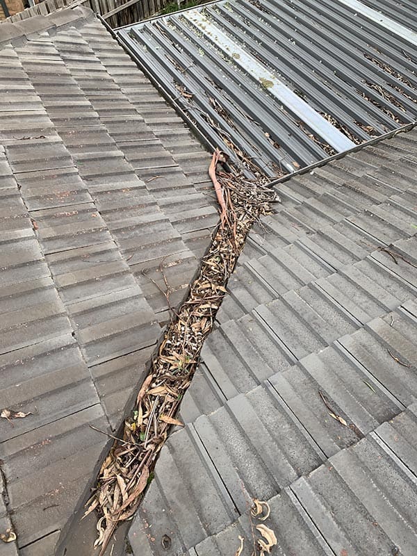 procoll gutter clean