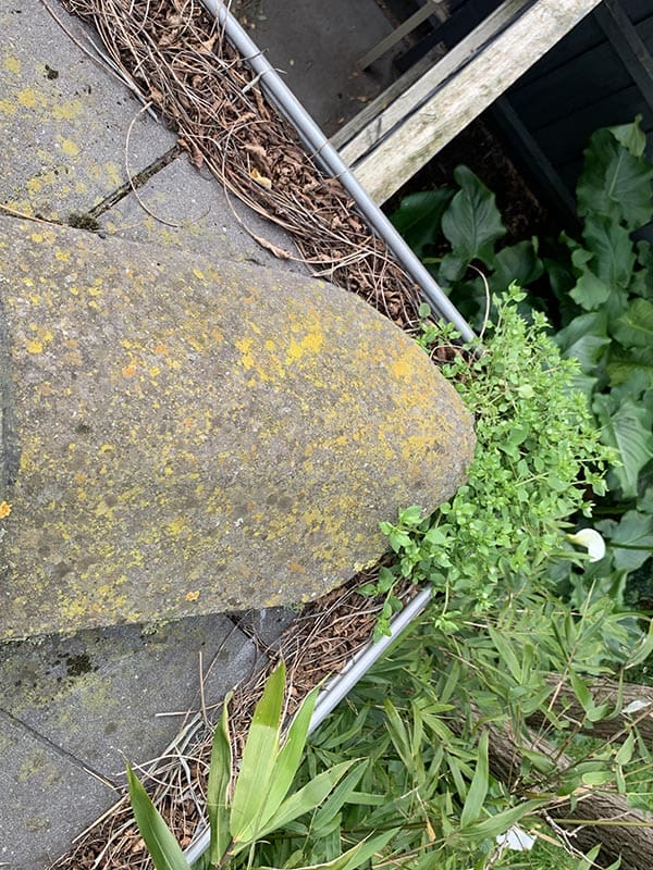 procoll gutter clean