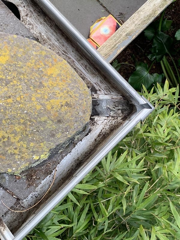 procoll gutter clean