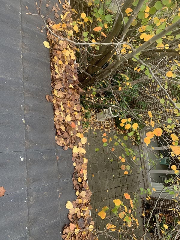 best service procoll gutter