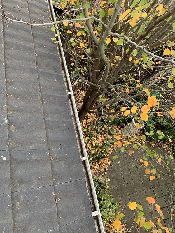 best services procoll gutter clean