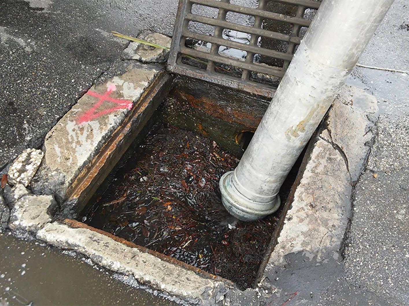 Storm Drain Clearing