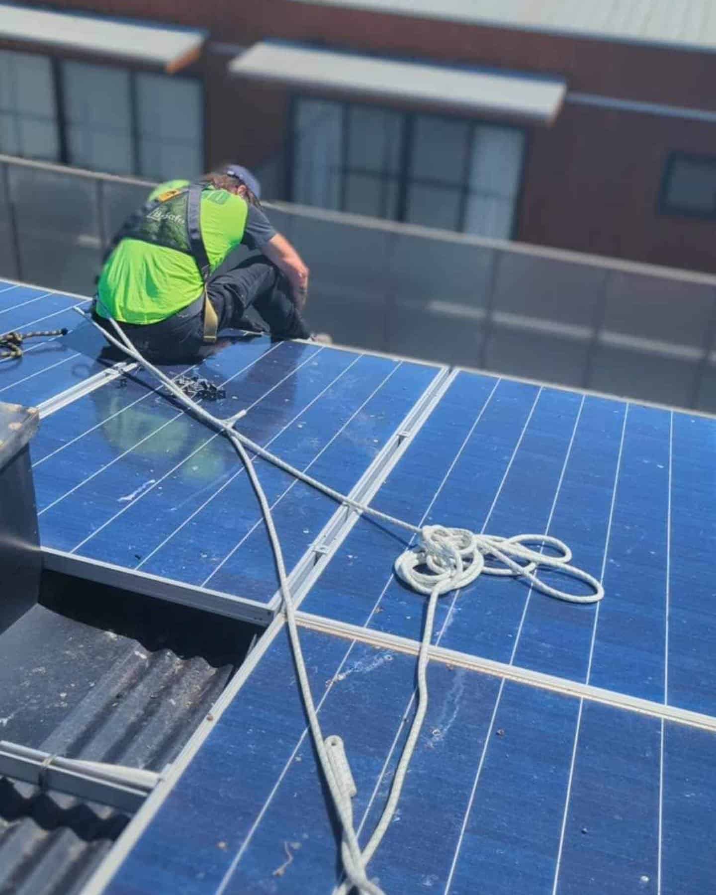 bird proofing solar panels 3