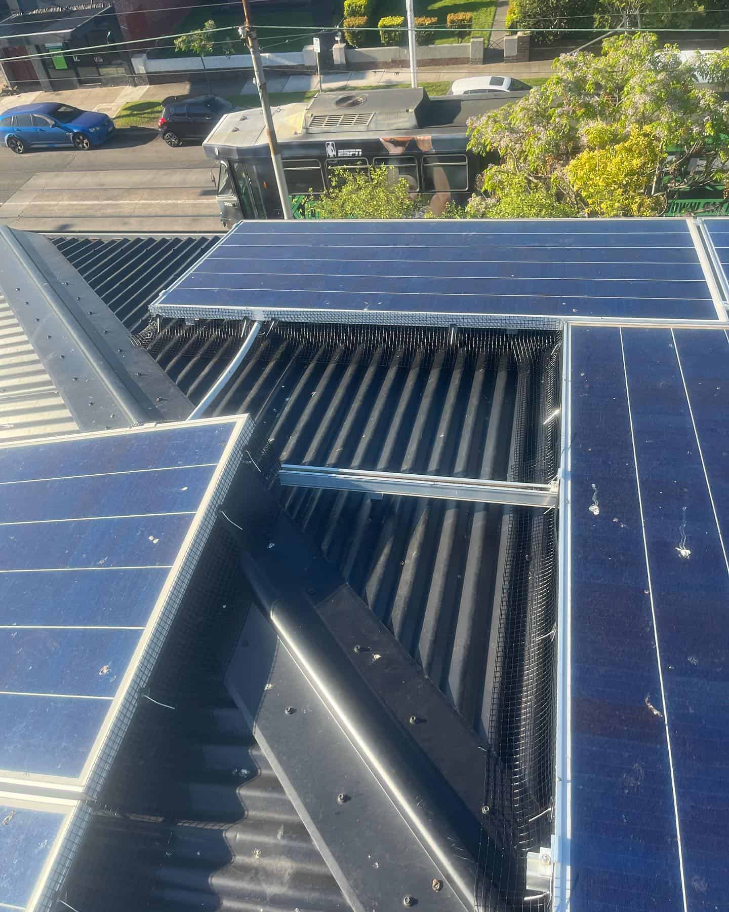 bird proofing solar panels 5