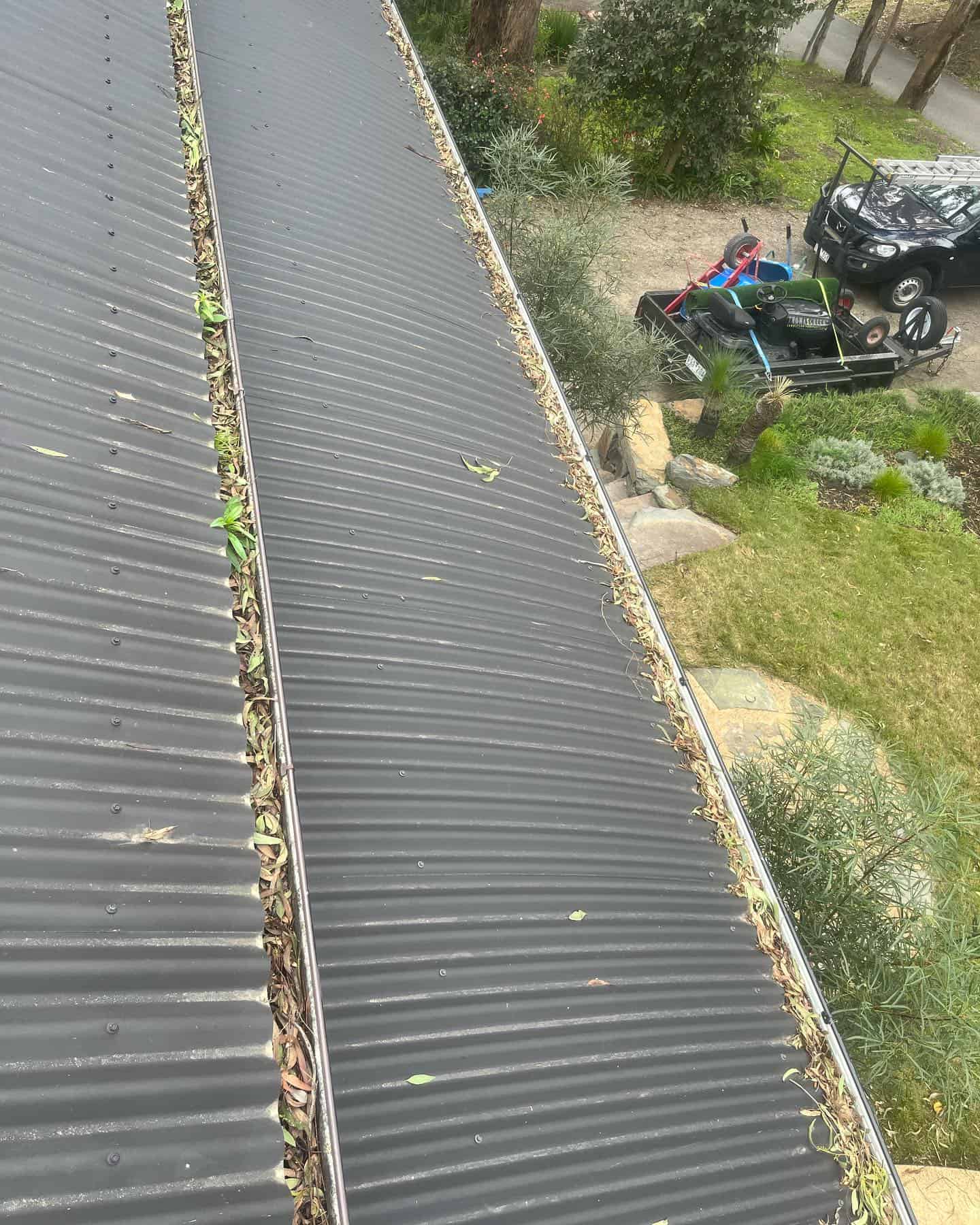 eltham gutter cleaning before with grass in gutters